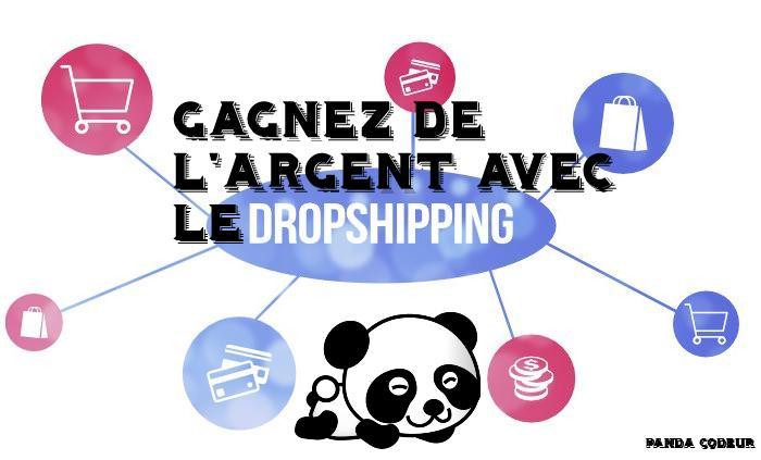 Dropshipping panda codeur 1