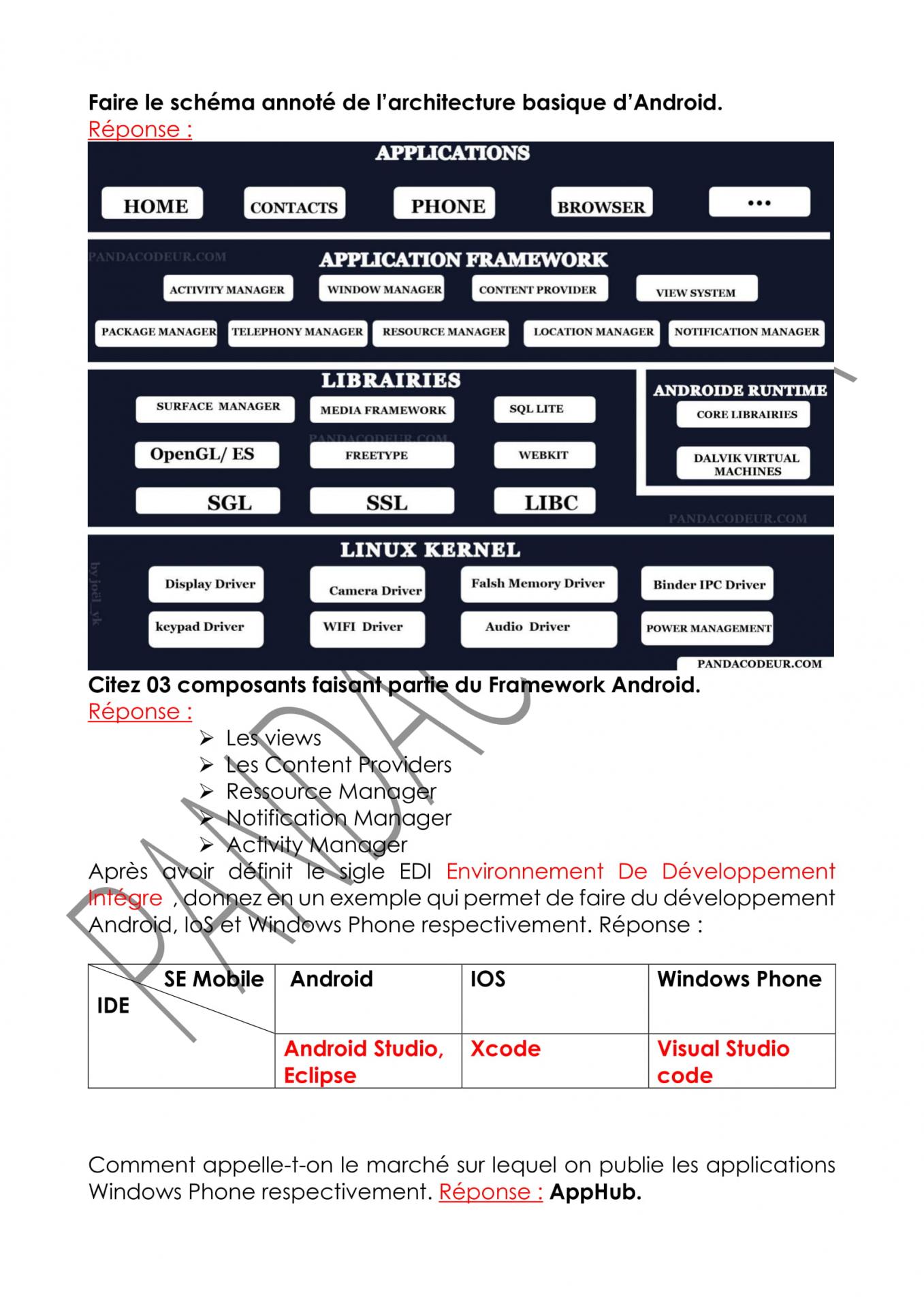 Examen 01 pandacodeur prg mob 3