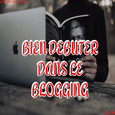 Pandacodeur bien debuter le blogging 1 