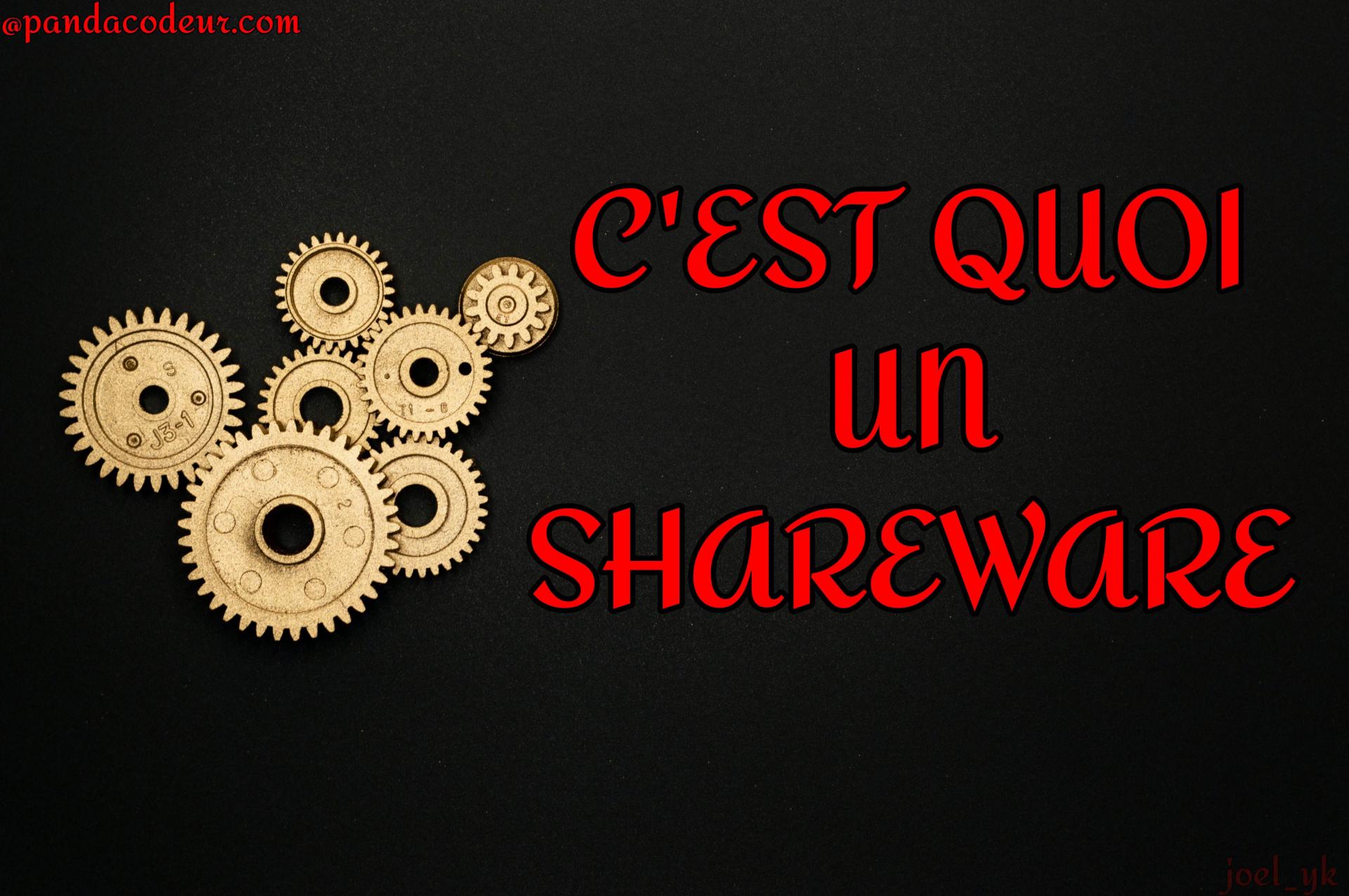 Pandacodeur c est quoi un shareware 1