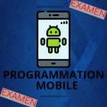 Pandacodeur examen prog mobile