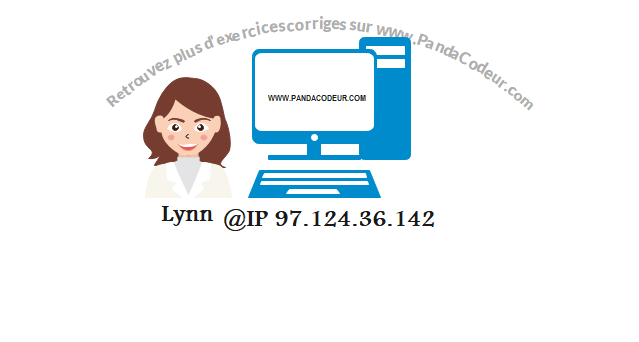 Reseau pandacodeur 09